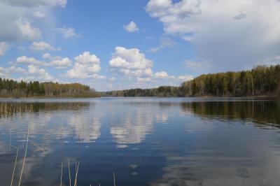 Фото 8. "Залив "Рогатка"