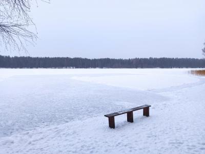 Фото 36 Каток